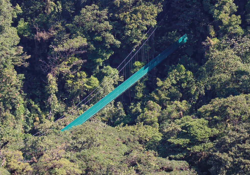 Monteverde suspension bridge above the cloud forest canopy