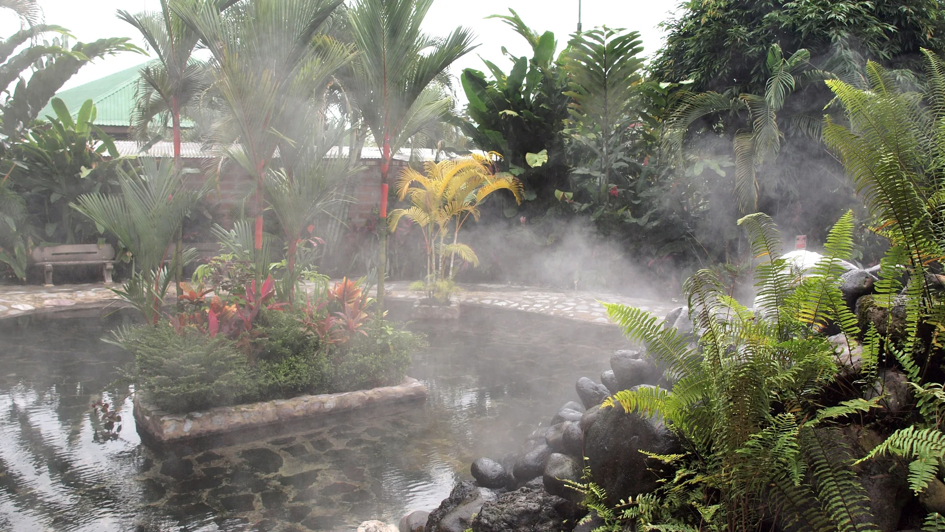 Steam rising off a thermal pool in La Fortuna's rainforest gardens