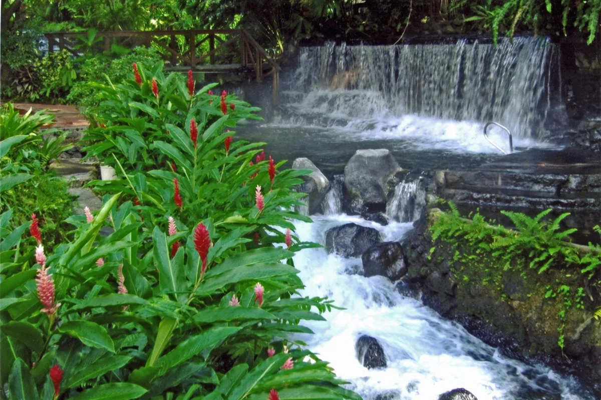 Tabacón's warm-river cascade framed by tropical flowers