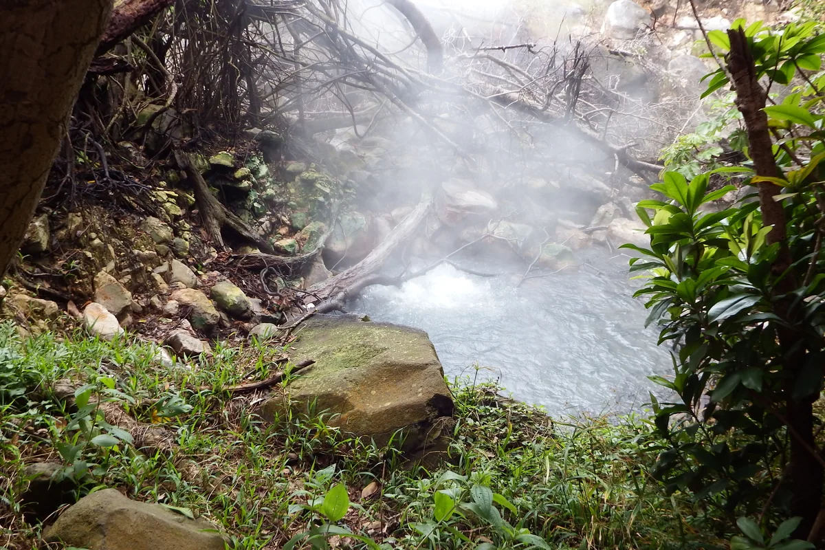 Volcanic steam drifting through the forest at Rincón de la Vieja